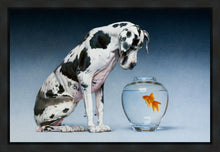 Load image into Gallery viewer, Dane and Fish