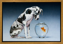 Load image into Gallery viewer, Dane and Fish