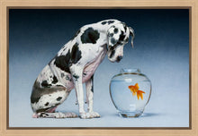 Load image into Gallery viewer, Dane and Fish