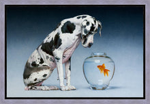 Load image into Gallery viewer, Dane and Fish