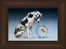 Load image into Gallery viewer, Dane and Fish