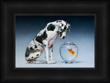 Load image into Gallery viewer, Dane and Fish