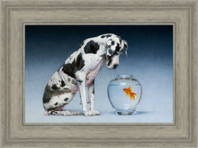 Load image into Gallery viewer, Dane and Fish
