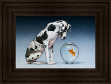 Load image into Gallery viewer, Dane and Fish