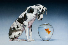 Load image into Gallery viewer, Dane and Fish