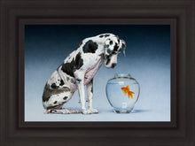 Load image into Gallery viewer, Dane and Fish