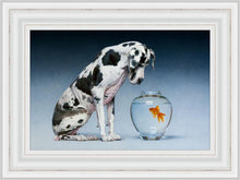 Load image into Gallery viewer, Dane and Fish