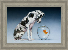 Load image into Gallery viewer, Dane and Fish