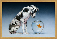 Load image into Gallery viewer, Dane and Fish