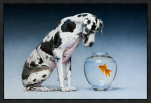 Load image into Gallery viewer, Dane and Fish