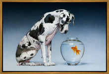 Load image into Gallery viewer, Dane and Fish