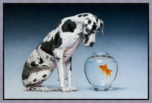 Load image into Gallery viewer, Dane and Fish