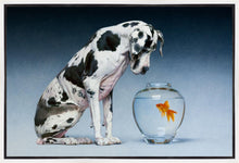Load image into Gallery viewer, Dane and Fish