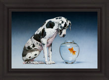 Load image into Gallery viewer, Dane and Fish