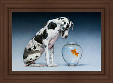 Load image into Gallery viewer, Dane and Fish