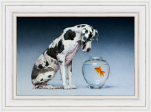Load image into Gallery viewer, Dane and Fish