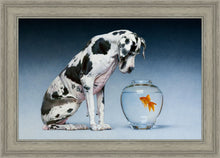 Load image into Gallery viewer, Dane and Fish