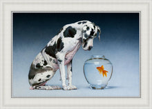 Load image into Gallery viewer, Dane and Fish