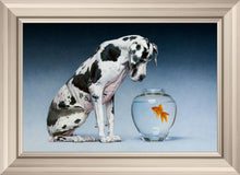 Load image into Gallery viewer, Dane and Fish