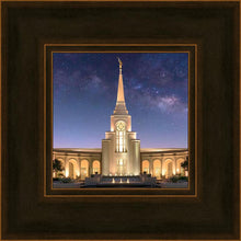Load image into Gallery viewer, Ft. Lauderdale Kolob