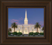 Load image into Gallery viewer, Orlando Summer Twilight