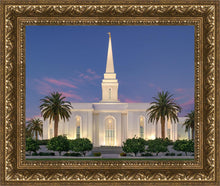Load image into Gallery viewer, Orlando Summer Twilight