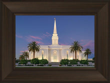 Load image into Gallery viewer, Orlando Summer Twilight