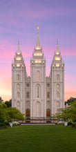 Load image into Gallery viewer, Salt Lake Pastel Sunset