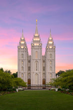 Load image into Gallery viewer, Salt Lake Pastel Sunset
