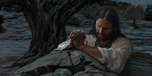 Load image into Gallery viewer, Gethsemane