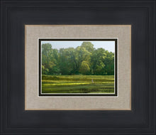 Load image into Gallery viewer, I Retired Into the Woods