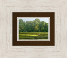 Load image into Gallery viewer, I Retired Into the Woods