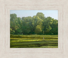 Load image into Gallery viewer, I Retired Into the Woods