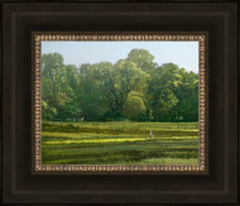 Load image into Gallery viewer, I Retired Into the Woods