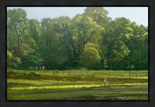 Load image into Gallery viewer, I Retired Into the Woods
