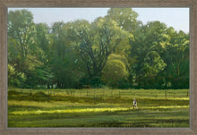 Load image into Gallery viewer, I Retired Into the Woods