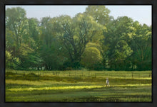 Load image into Gallery viewer, I Retired Into the Woods