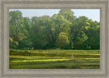 Load image into Gallery viewer, I Retired Into the Woods