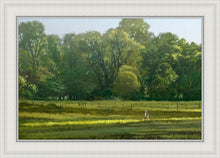 Load image into Gallery viewer, I Retired Into the Woods