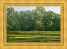 Load image into Gallery viewer, I Retired Into the Woods