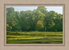 Load image into Gallery viewer, I Retired Into the Woods