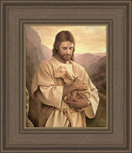 Load image into Gallery viewer, Lost Lamb