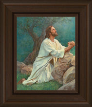 Load image into Gallery viewer, Prayer at Gethsemane