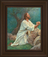 Load image into Gallery viewer, Prayer at Gethsemane