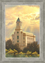 Load image into Gallery viewer, Cedar City Temple