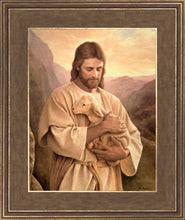 Load image into Gallery viewer, Lost Lamb