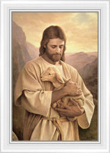 Load image into Gallery viewer, Lost Lamb