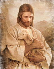 Load image into Gallery viewer, Lost Lamb Vintage