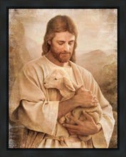 Load image into Gallery viewer, Lost Lamb Vintage