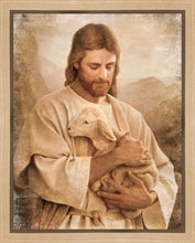 Load image into Gallery viewer, Lost Lamb Vintage